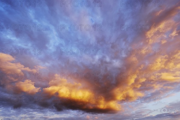 Stratocumulus cloud, cumulus clouds, blue sky, evening light, Windmühlenweg, Gronau, Münsterland,