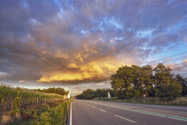 Corn field, meadow, trees, cumulus clouds, stratocumulus clouds, evening light, Bundesstraße B54,