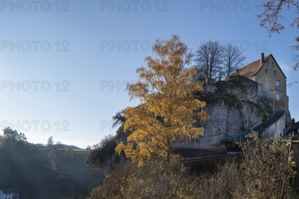 Autumnal birch (Betula) in front of Pottenstein Castle, created around 1070, Pottenstein, Upper