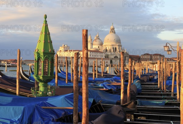 Gondolas in front of the Piazzetta, behind the Basilca di S. Maria della Salute on the Grand Canal,