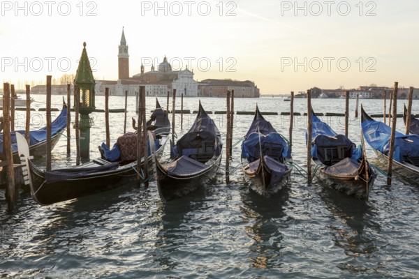 Gondolas in front of the Piazzetta, in the background San Giorgio Maggiore, San Marco, Venice,