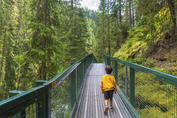 Young boy enjoying a hike, walking on a metal bridge surrounded by lush green forest in johnston