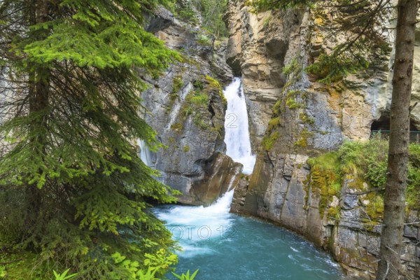 Turquoise water flows through johnston canyon in banff national park, creating a picturesque scene