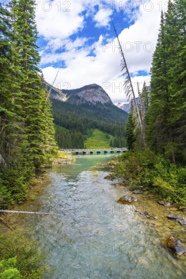 Turquoise water flows from emerald lake under a bridge and into yoho national park, framed by lush