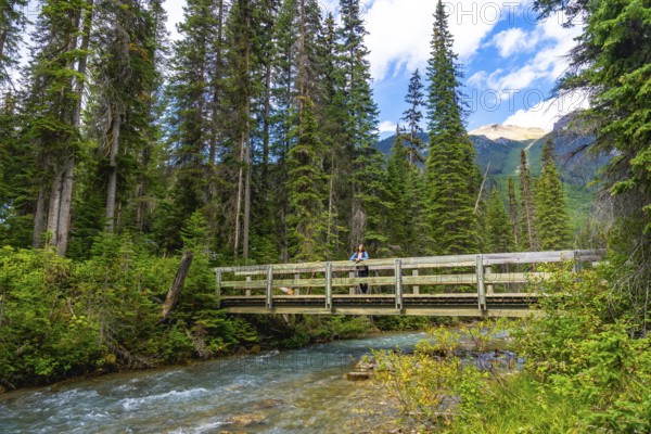 Tourist is standing on a wooden bridge over a clear stream, surrounded by lush green forest and