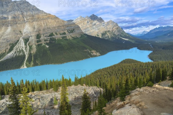 Turquoise water of peyto lake flows through a valley surrounded by mountains and forests in banff