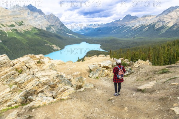 Female hiker admiring the stunning turquoise hues of peyto lake, surrounded by majestic mountains