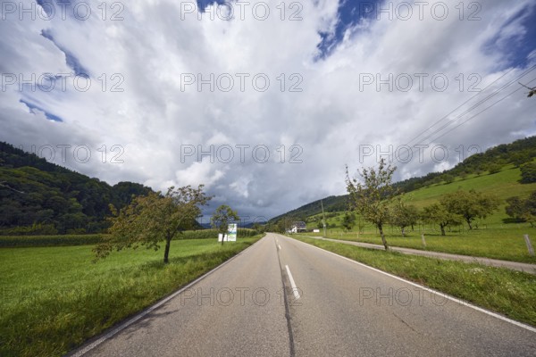 Landscape, landscape photography, hills, coniferous forest, trees, meadow, field, central