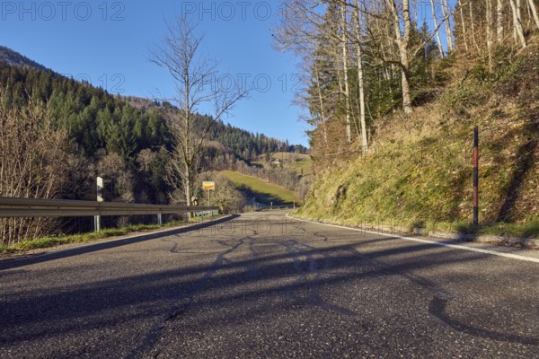 Landscape photography, hills, hilly landscape, road, coniferous forest, trees, meadow, guardrail,