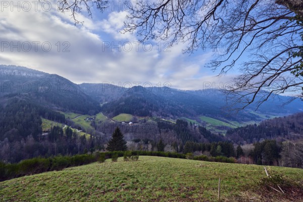 Simonswäldertal Dreitälerblick, landscape photography, landscape, hills, coniferous forest,