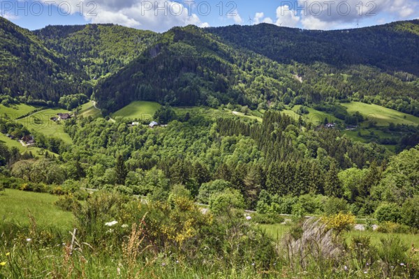 Simonswäldertal Dreitälerblick, Zweribach, landscape photography, hills, hilly landscape,
