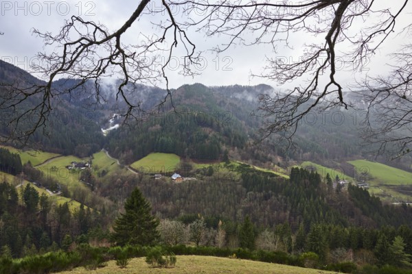 Simonswäldertal, Dreitälerblick, Wildgutach. Zweribach. Obersimonswald., hills, trees, coniferous