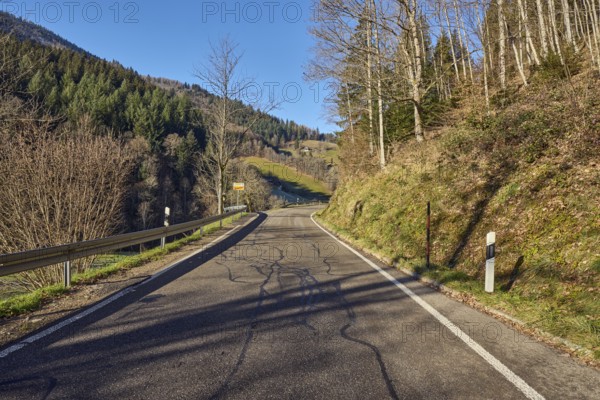Landscape photography, hills, hilly landscape, road, coniferous forest, trees, meadow, guardrail,
