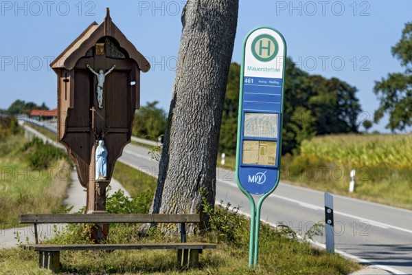 MVV bus stop at traditional crossroads, wayside cross, bench and oak (Quercus) between fields,