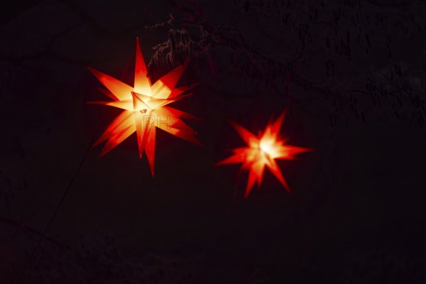 Shining stars on a tree, Raunacht, winter, Waldburg Castle, Waldburg, Allgäu, Baden-Württemberg,