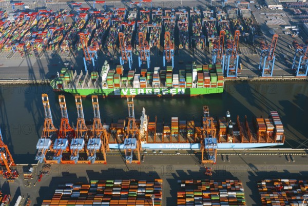Burchardkai and Eurogate container terminal, container terminal, container freighter, container