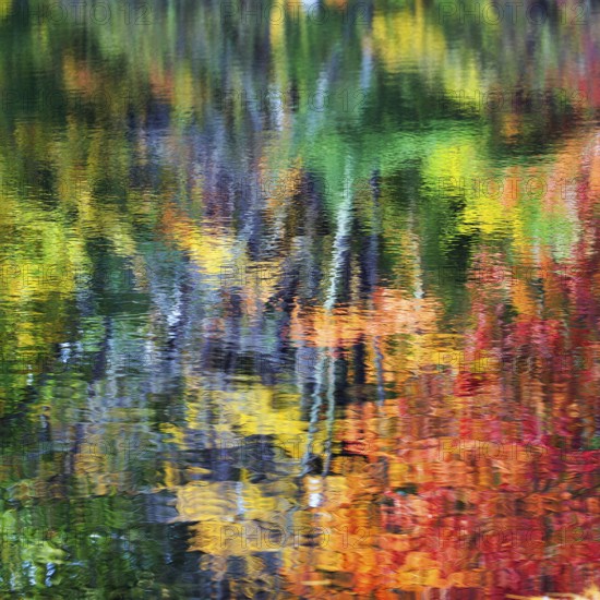 Trees reflected in water surface, riverbank, river landscape, bright autumn leaves, Indian summer,
