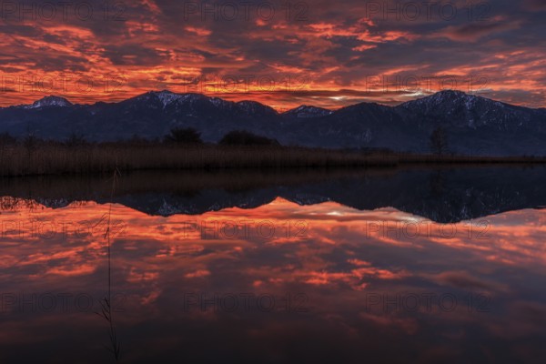 Lake, reflection, snow, cold, mountains, winter, morning light, morning mood, morning red, cloud