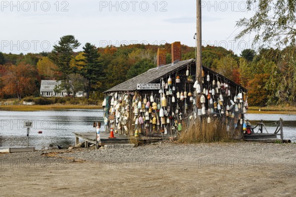 Numerous lobster buoys, decoration at former fishing lodge, seafood restaurant, lobster specialty,