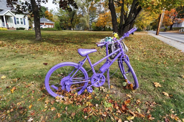 Purple painted bicycle with flowers, roadside decoration, autumn leaves in meadow, Ogunquit, Maine,