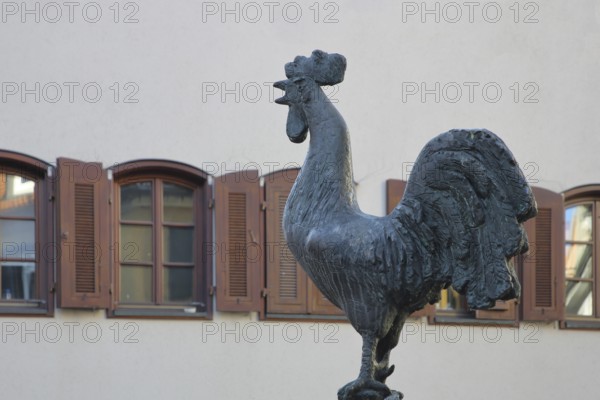 Göckelesbrunnen by Karl Ulrich Nuss 2013 with rooster figure, rooster, modern art, bronze