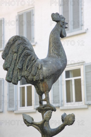 Göckelesbrunnen by Karl Ulrich Nuss 2013 with rooster figure, rooster, modern art, bronze