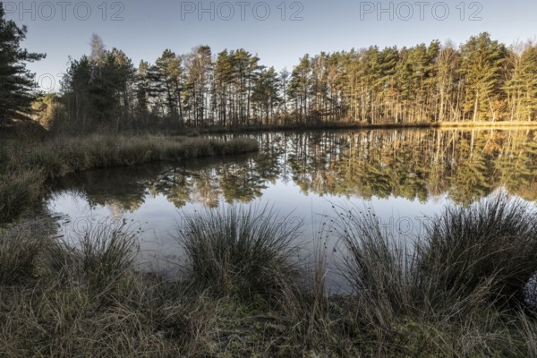 Former quarry lake, Emsland, Lower Saxony, Germany