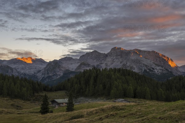 View over the alpine pasture of the Gotzenalm to the Steinernes Meer and Funtenseetauern mountains