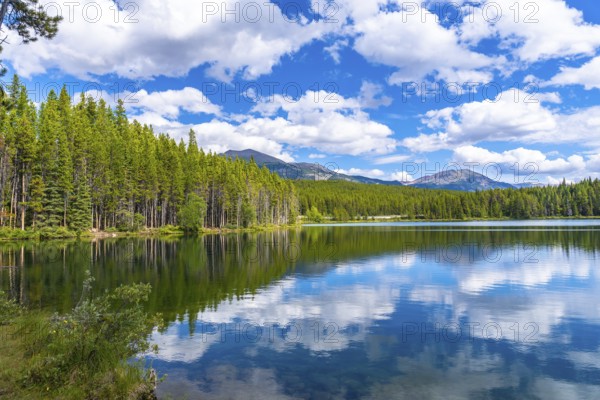 Calm water reflects the blue sky and white clouds over herbert lake with coniferous trees and