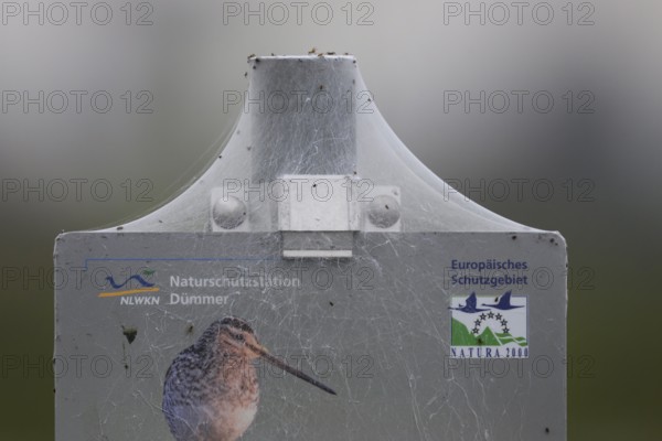 A sign of the Dümmer nature park Reserve with a spider web and a picture of a snipe in foggy