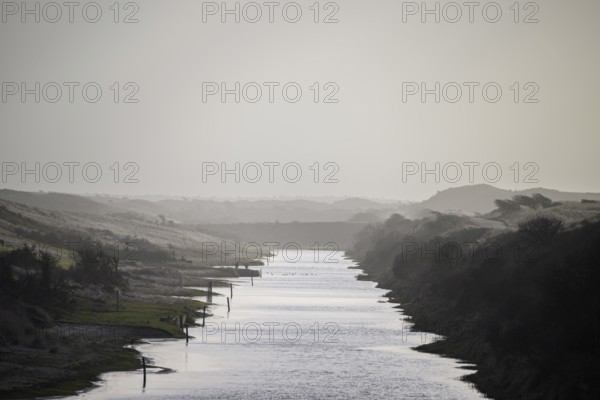 A calm branch of water in a foggy monochrome dune landscape at dusk, Amsterdamse