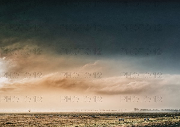 The photo shows a peaceful scene in Ochsenmoor, Germany. A flock of sheep grazes on a grassy