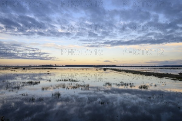 Wide water landscape with cloudy sky at sunset Moist meadows in Ochsenmoor during high tide, Dümmer
