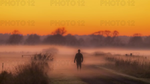 A lonely person walks at sunset through the misty lowmoor landscape, Dümmer nature park Park, Lower