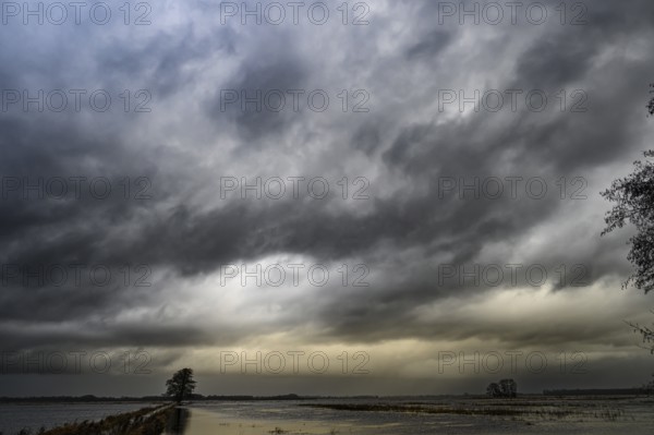 Dark, threatening clouds over a quiet, flat landscape with a lonely tree on the edge channel of