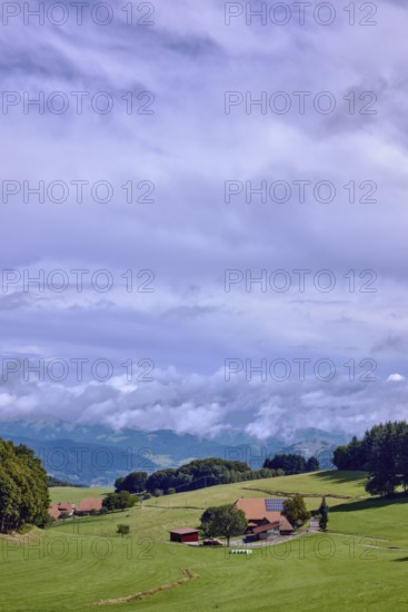 Landscape photography, hilly landscape, hills, coniferous forest, meadow, trees, homestead, haze,