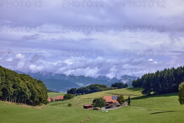 Landscape photography, hilly landscape, hills, coniferous forest, meadow, trees, homestead, haze,