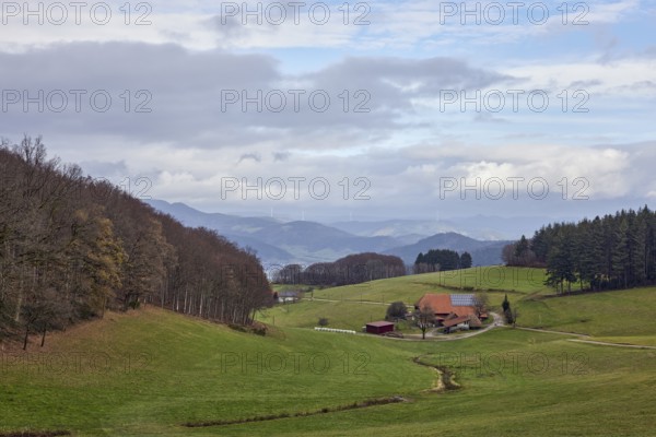 Landscape photography, mountain landscape, hills, coniferous forest, meadow, homestead, haze,