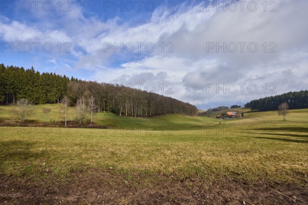 Landscape photography, hilly landscape, hills, meadow, coniferous forest, trees, cloud shadows,