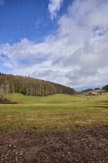 Landscape photography, hilly landscape, hills, meadow, coniferous forest, trees, cloud shadows,