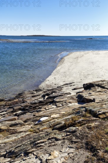 Shoreline with sandy beach, Cedar Beach, Harpswell, Cumberland County, Casco Bay, Atlantic Ocean,