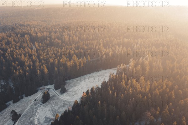 Forest panorama in warm sunset light with mountains in the background, Enzklösterle, Calw district,