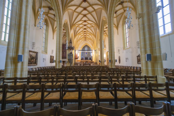 Extensive church space with Gothic vaults, wooden chairs and an altar in the center, collegiate