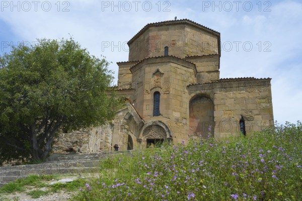 Stone church with decorated details surrounded by flowering plants and a large tree under a blue