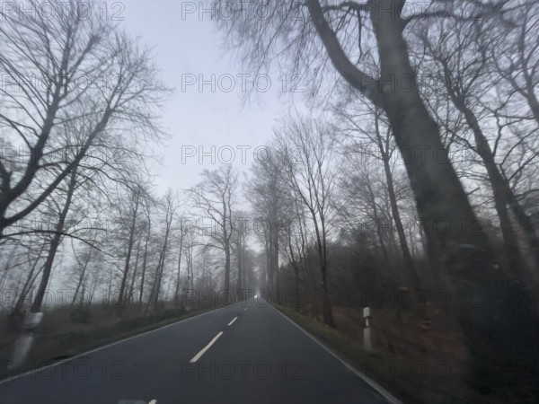 Driver's perspective view of foggy, foggy country road with trees next to the road in thick fog in