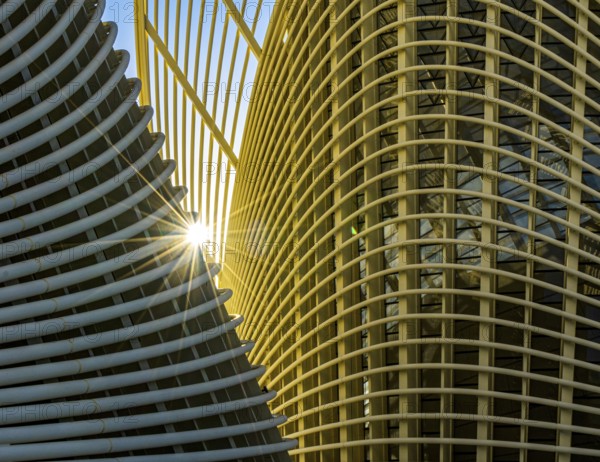 Zayed National Museum in Abu Dhabi, memorial to the late Zayed bin Sultan Al Nahyan, the museum is