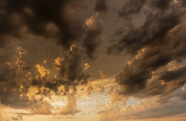 A brilliant sunset casts warm colors across a cheerful meadow. Dark clouds dominate the sky, while