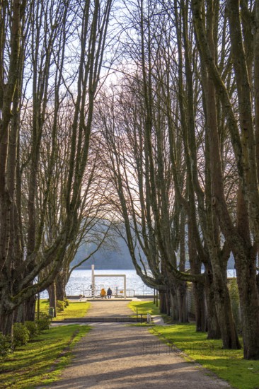 Winter at Lake Baldeney in Essen, Strandbad boat stop, closed in winter, tree-lined avenue leading