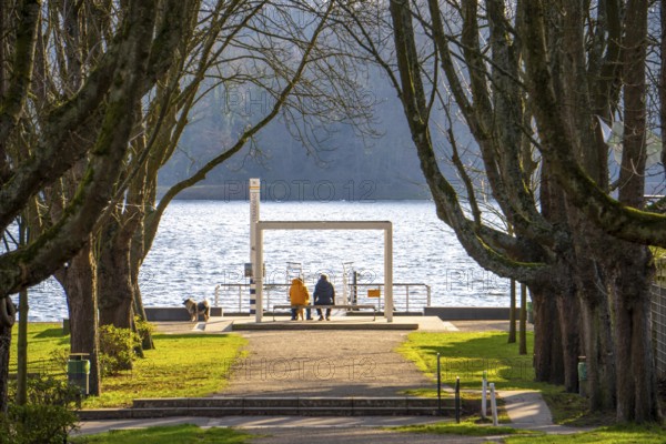 Winter at Lake Baldeney in Essen, Strandbad boat stop, closed in winter, tree-lined avenue leading