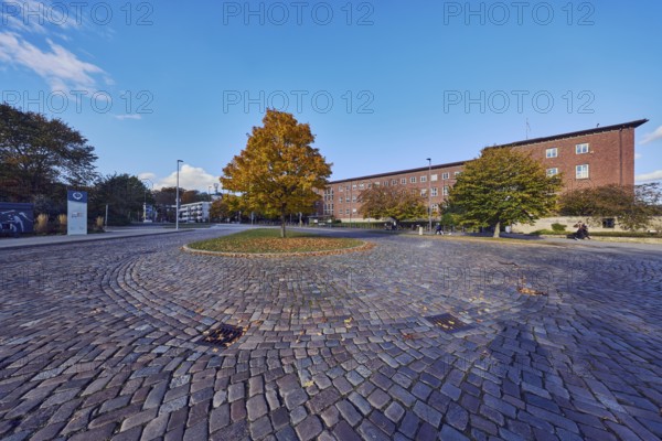 Norway maple (Acer platanoides), brick building, Ministry of Finance, street, central island, bus